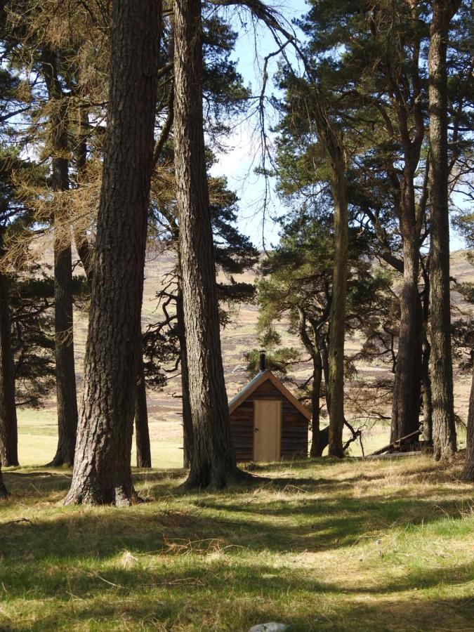 The Farmhouse B&B Dunkeld Εξωτερικό φωτογραφία